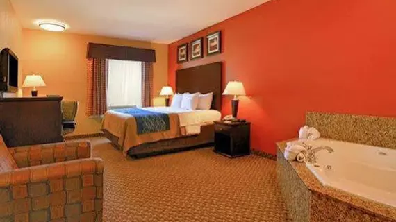 Comfort Inn Opelousas | Louisiana - Lafayette (ve civarı) - Opelousas