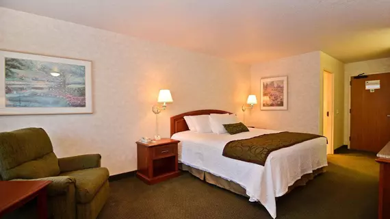 Best Western Plus Twin Falls Hotel | Idaho - Twin Falls (ve civarı) - Twin Falls