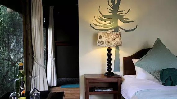 Sibuya Game Reserve and Lodge | Eastern Cape - Ndlambe - Kenton on Sea