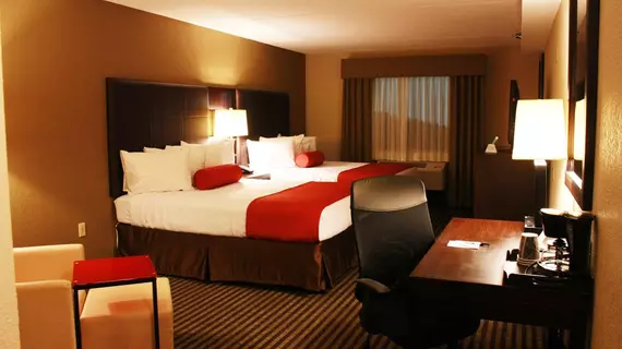 Best Western Plus West Akron Inn & Suites | Ohio - Summit İlçesi - Akron (ve civarı) - Akron - Montrose