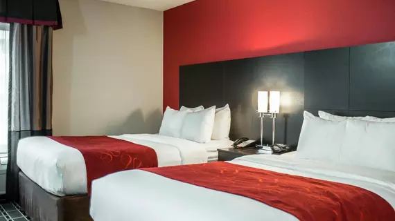 Comfort Suites Airport Nashville | Tennessee - Nashville-Davidson - Nashville (ve civarı) - Nashville - Opryland - Donelson