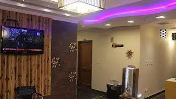 Hotel Persona International | Batı Delhi - Ulusal Eyalet Başkenti Delhi - Delhi (ve civarı) - Yeni Delhi - Karol Bagh