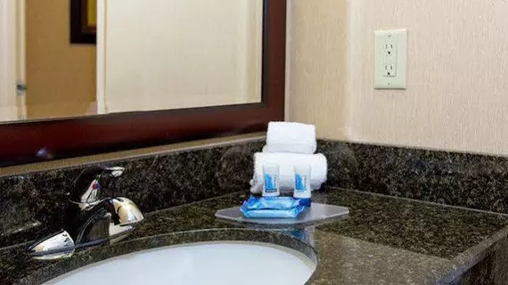 Fairfield Inn & Suites Detroit Livonia | Michigan - Detroit (ve civarı) - Livonia