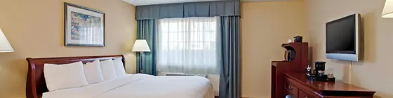 Holiday Inn Bloomington W MSP Airport Area | Minnesota - Minneapolis - St. Paul (ve civarı) - Bloomington