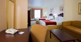 Holiday Inn Express Hotel & Suites Tampa Stadium-Airport | Florida - Tampa (ve civarı) - Tampa