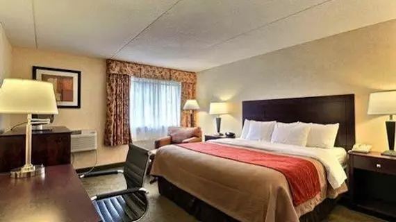 Comfort Inn Lansing | Michigan - Lansing (ve civarı) - Lansing