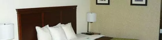 Comfort Inn Opryland Area | Tennessee - Nashville-Davidson - Nashville (ve civarı) - Nashville - Opryland - Donelson