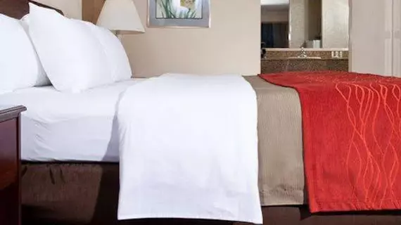 Comfort Inn Near Pasadena Civic Auditorium | Kaliforniya - Los Angeles County - San Gabriel Valley