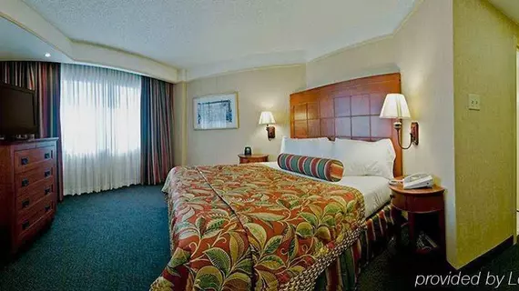 Embassy Suites San Antonio - International Airport | Teksas - San Antonio (ve civarı) - San Antonio - Kuzey San Antonio - SAT Havalimanı