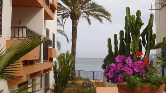 Apartamentos Llevant | Balearic Adaları - İbiza Adası - Ibiza Kent Merkezi - Figueretas