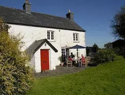 Moorshead Farm | Galler - Monmouthshire - Cardiff (ve civarı) - Cowbridge