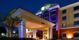 Holiday Inn Express Hotel & Suites Tampa-Fairgrounds-Casino | Florida - Tampa (ve civarı) - Tampa