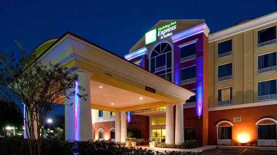 Holiday Inn Express Hotel & Suites Tampa-Fairgrounds-Casino | Florida - Tampa (ve civarı) - Tampa