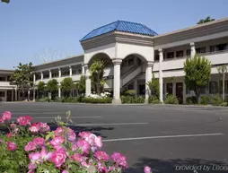 Best Western PLUS Black Oak | Kaliforniya - San Luis Obispo (ve civarı) - Paso Robles