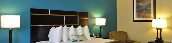 Best Western Plus Desoto Inn & Suites | Louisiana - Mansfield