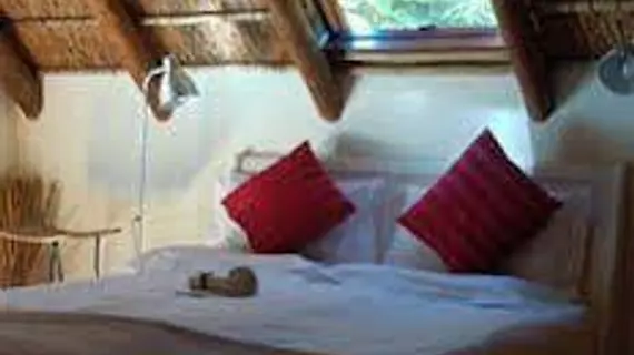 The Beautiful South Guesthouse | Western Cape (il) - West Coast DC - Drakenstein - Cape Town (ve civarı) - Stellenbosch