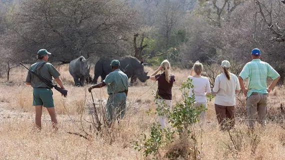 Rhino Walking Safaris | Mpumalanga - Mbombela - Kruger National Park