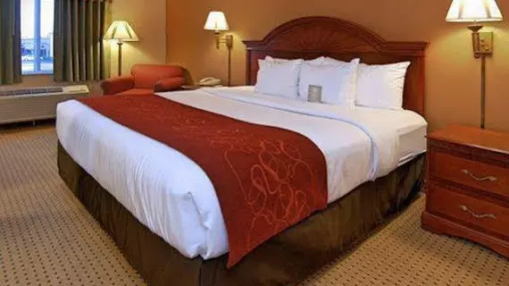 Comfort Suites Owensboro | Kentucky - Owensboro (ve civarı) - Owensboro