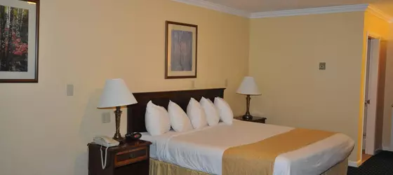 Best Western White House Inn | Maine - Bangor (ve civarı) - Bangor