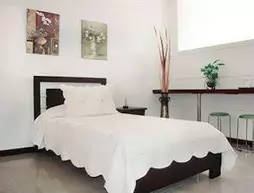 Hotel Santamaria Plaza | Valle del Cauca - Cali (ve civarı) - Cali