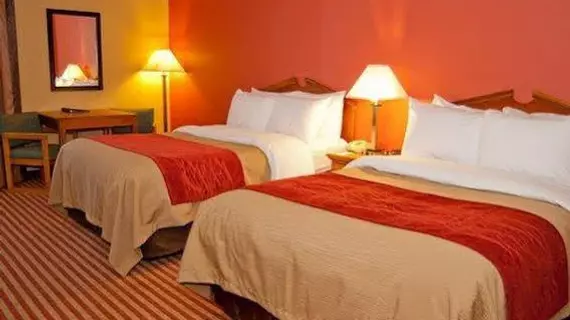 Comfort Inn and Suites Cincinnati | Ohio - Cincinnati (ve civarı) - Cincinnati