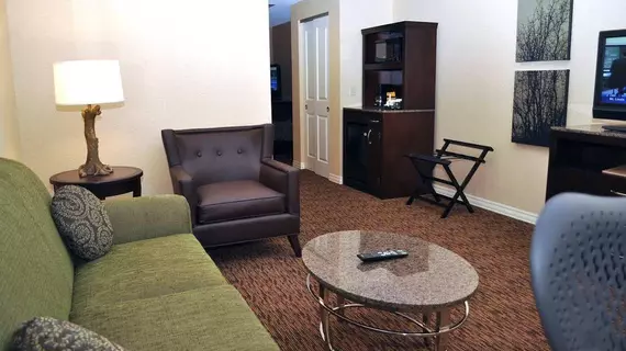 Hilton Garden Inn St. Louis Airport | Missouri - St. Louis (ve civarı) - Berkeley