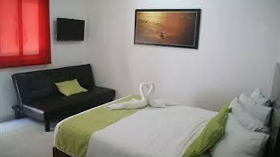 Studios on 5th | Quintana Roo - Solidaridad - Playa del Carmen