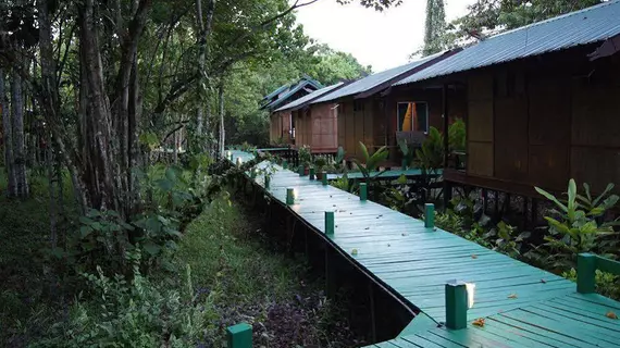 Nature Lodge Kinabatangan | Sabah - Kota Kinabatangan