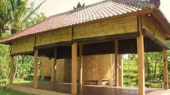 Shriman Yoga Bungalows | Bali - Ubud - Ubud Kent Merkezi