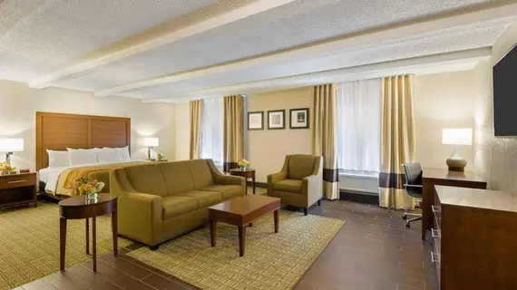 Comfort Inn Conference Center Westport/St. Louis | Missouri - St. Louis (ve civarı) - Maryland Heights