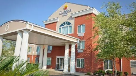 Comfort Inn Demopolis | Alabama - Demopolis (ve civarı) - Demopolis