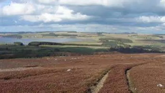 The Punch Bowl Inn | Durham (kontluk) - Consett - Edmundbyers