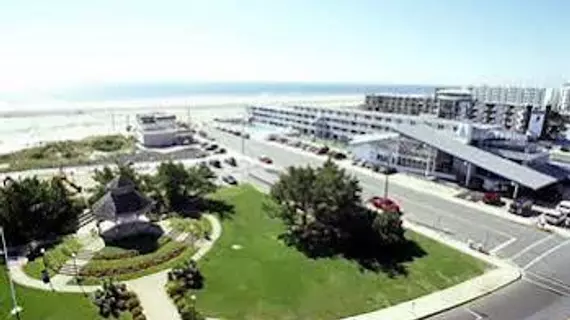 Oceanview Motel | New Jersey - Middle Township - Cape May - Wildwood (ve civarı) - Wildwood Crest