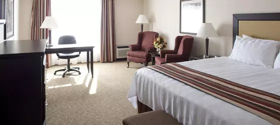 Best Western PLUS Port O'Call Hotel | Alberta - Calgary (ve civarı) - Calgary