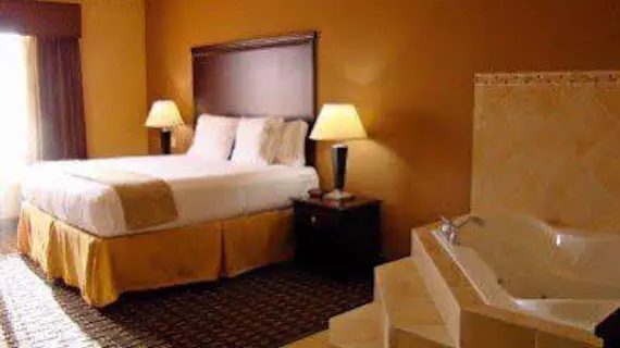 Holiday Inn Express Hotel & Suites Dallas Central Market Center | Teksas - Dallas (ve civarı) - Dallas