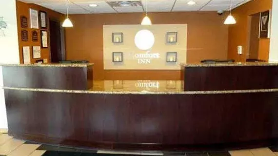 Comfort Inn Rochester | New York - Rochester (ve civarı) - Rochester