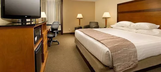 Drury Inn & Suites Springfield | İllinois - Springfield (ve civarı) - Springfield