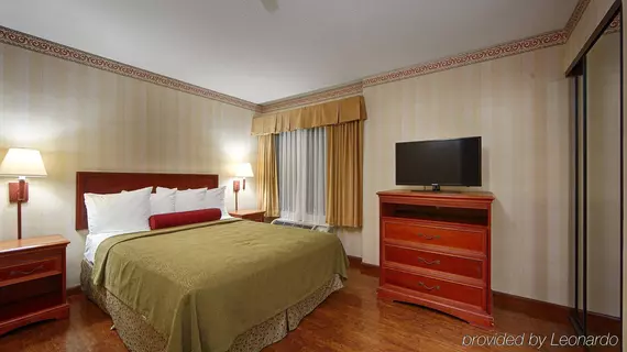 BEST WESTERN PLUS Raffles Inn and Suites | Kaliforniya - Orange County - Anaheim - Anaheim Resort