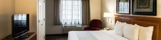 La Quinta Inn Lexington | Kentucky - Lexington (ve civarı) - Lexington