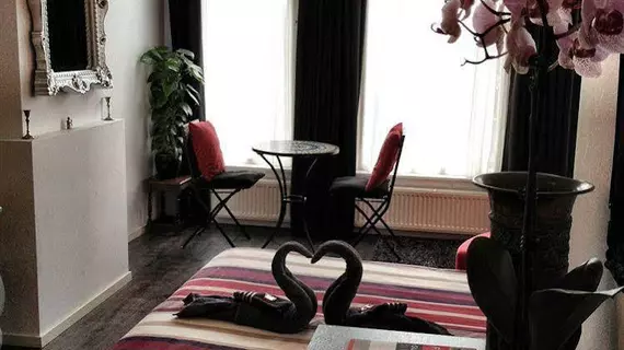 Tulip of Amsterdam B&B | Kuzey Hollanda - Amsterdam - Amsterdam Merkezi