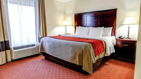 Comfort Inn Birmingham Homewood | Alabama - Birmingham (ve civarı) - Homewood