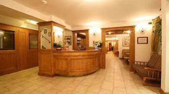 Hotel Des Alpes | Veneto - Belluno (vilayet) - Cortina d'Ampezzo