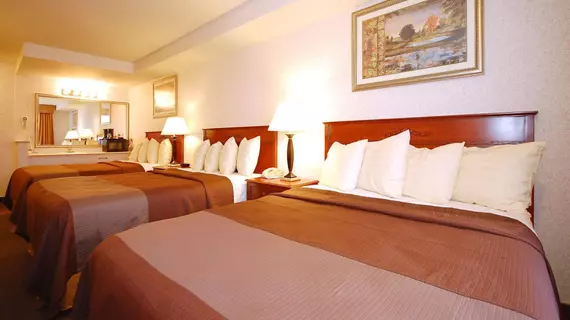 Best Western Airport Plaza Inn | Kaliforniya - Los Angeles County - Inglewood