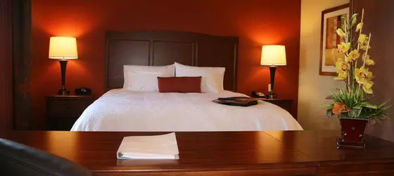 Hampton Inn & Suites - Saint Louis South Interstate 55 | Missouri - St. Louis (ve civarı) - St. Louis