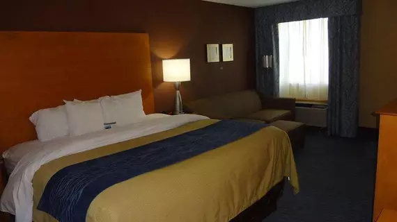 Comfort Inn Plymouth | Michigan - Detroit (ve civarı) - Plymouth