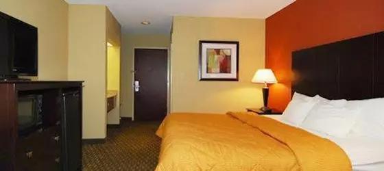 Comfort Inn Pine Bluff | Arkansas - Pine Bluff (ve civarı) - Pine Bluff