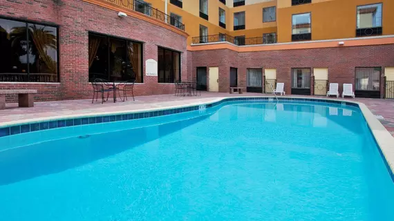 Holiday Inn Express Hotel & Suites Tampa Stadium-Airport | Florida - Tampa (ve civarı) - Tampa