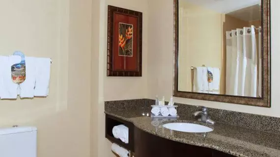 Holiday Inn Express Hotel & Suites Tampa -USF-Busch Gardens | Florida - Tampa (ve civarı) - Tampa