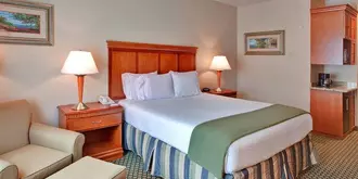 Holiday Inn Express Hotel & Suites Ontario Airport-Mills Mall