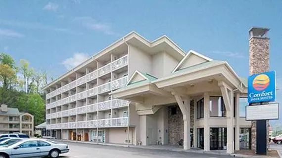 Comfort Inn & Suites at Dollywood Lane | Tennessee - Gatlinburg - Pigeon Forge (ve civarı) - Pigeon Forge